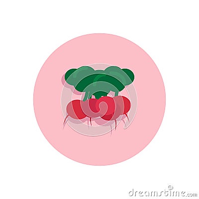 Radish flat icon. Round colorful button, circular vector sign, l Vector Illustration
