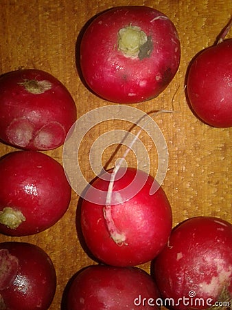 Radish Stock Photo