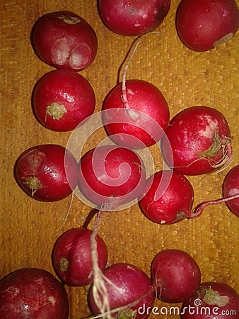 Radish Stock Photo