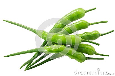 Radish pods Raphanus sativus silique isolated on white Stock Photo