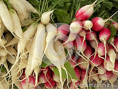 Radishes Stock Photo