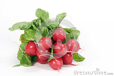 Radishes Stock Photo