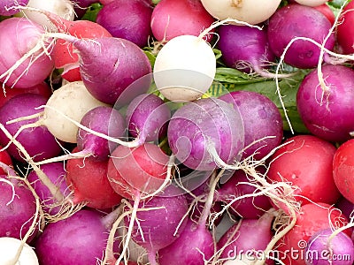 Radishes Stock Photo