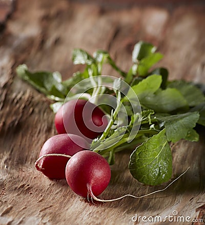 Radishes group Stock Photo