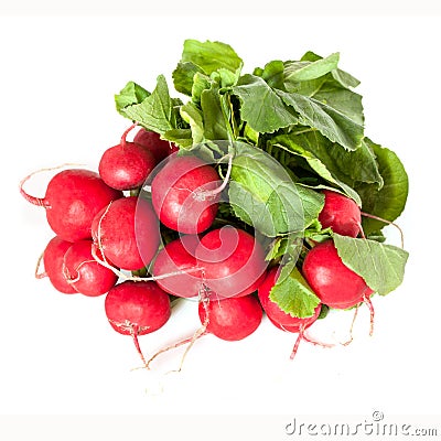 Radishes Isolated Stock Photo