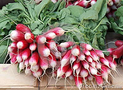 Radishes at the market Stock Photo