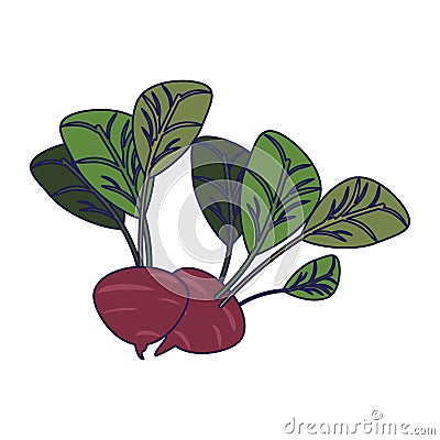 Radishes vegetables food cartoon blue lines Vector Illustration