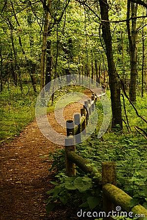 Radnor Lake in nashville Tennessee,Wooded fenced path in the forest Stock Photo