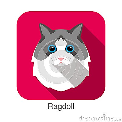 Ragdoll, Cat breed face cartoon flat icon design Vector Illustration