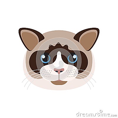 Ragdoll cat face with blue eyes, whiskers and colorpoint coat on muzzle Vector Illustration