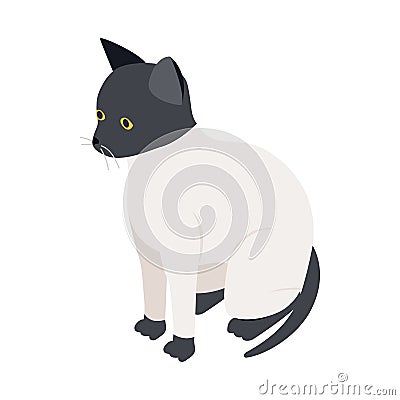 Ragdoll cat icon, isometric 3d style Vector Illustration