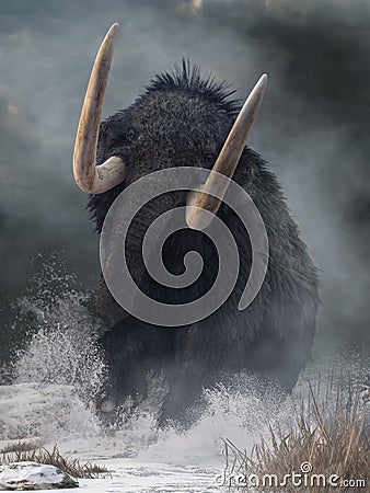 Raging Mammoth Stock Photo