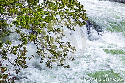 Raging torrent pouring out of Loch Morar Stock Photo