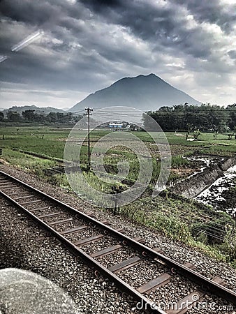 Rail by rice field Stock Photo