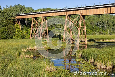 Railroad Bridge Over A Swampy Creek Stock Photo