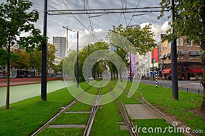 Railroad covered in grass Stock Photo