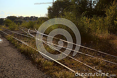 Railroad covered by tall grass at sunset Stock Photo