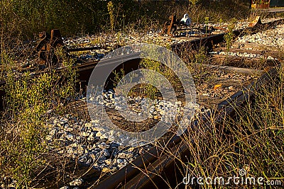 Railroad covered by tall grass at sunset Stock Photo