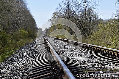 Railroad in the forest with concrete sleepers. Stock Photo