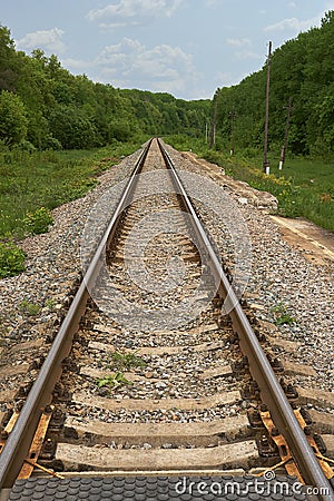 Railroad going into the distance through forest Stock Photo