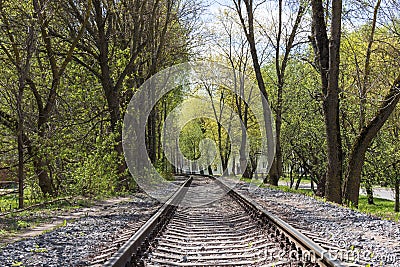 Railroad going through a forest Stock Photo