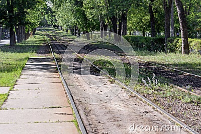 Railroad tracks in the lush forest area of the town destination Stock Photo