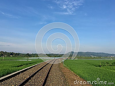 Railroad tracks in the middle of paddy fields. Stock Photo