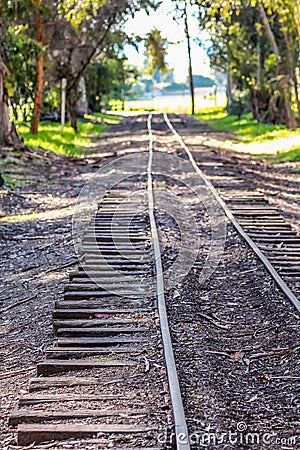 Railroad tracks running through the park. Stock Photo