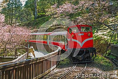 Railway in alishan forest recreation area, taiwan Stock Photo