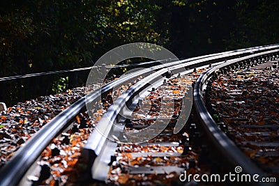 Railway in beautiful autumn forest Stock Photo