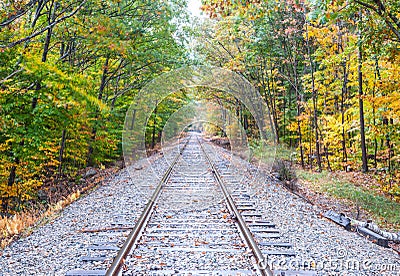 Railway lines through uatumn colored forest at Bears Notch on Kancamagus Highway Stock Photo