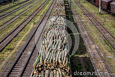 Railway station with wagons with felled forest.. Transportation Stock Photo