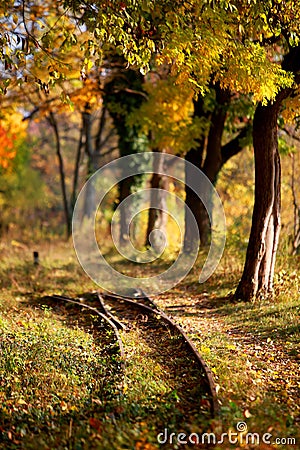 Railway tracks and footpath in the golden forest in autumn Stock Photo