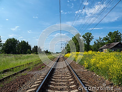 Railway tracks among yellow fields, country railroad Stock Photo