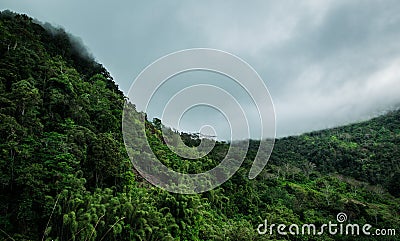 Rain clouds grazing mountain crest (Jungle) Stock Photo