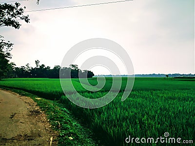 Before the rain comes Stock Photo