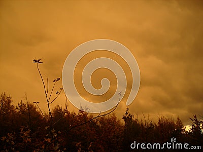 Rain dark orange clouds, louring sky over the autumn forest Stock Photo