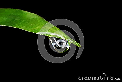 Rain drop on a leaf Stock Photo