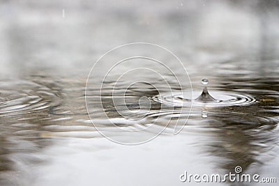 Rain drop Stock Photo