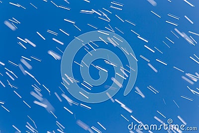 Rain drops on a background of blue sky Stock Photo