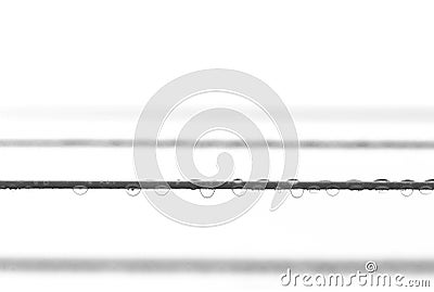 Rain drops on clothes line Stock Photo