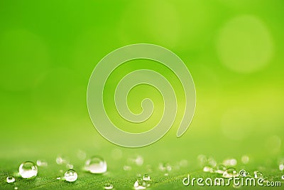 Rain drops over fresh green leaf texture, natural background Stock Photo