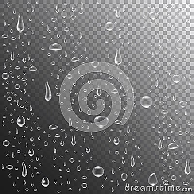 Rain drops or steam shower. Realistic water drops on transparent background. Clear vapor bubbles on window glass surface. Vector Illustration