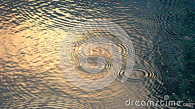 Rain drops on the water pool that have ripple wave effect Stock Photo