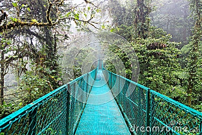 Rain Forest, Costa Rica Stock Photo