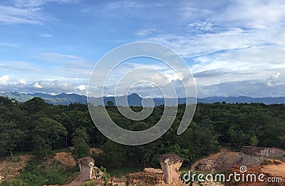 Rain forest in Thailand. Stock Photo