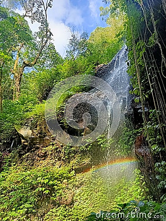 Rain forest waterfal Stock Photo