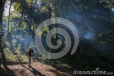 Rain forest woman photographer hiking Stock Photo