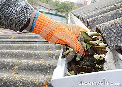 Rain Gutter Cleaning from Leaves in Autumn with hand. Gutter Cleaning. Roof Gutter Cleaning Tips. Stock Photo