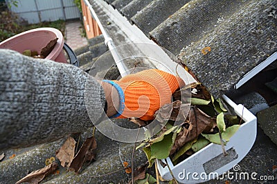 Rain Gutter Cleaning from leaves in autumn with hand. Roof gutter cleaning Gutter Cleaning Stock Photo
